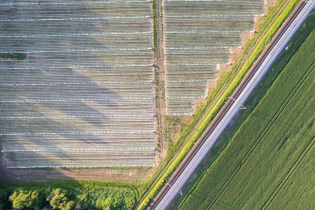 solar panels in field