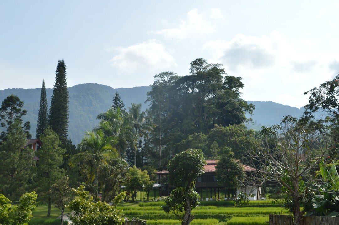resort villa view
