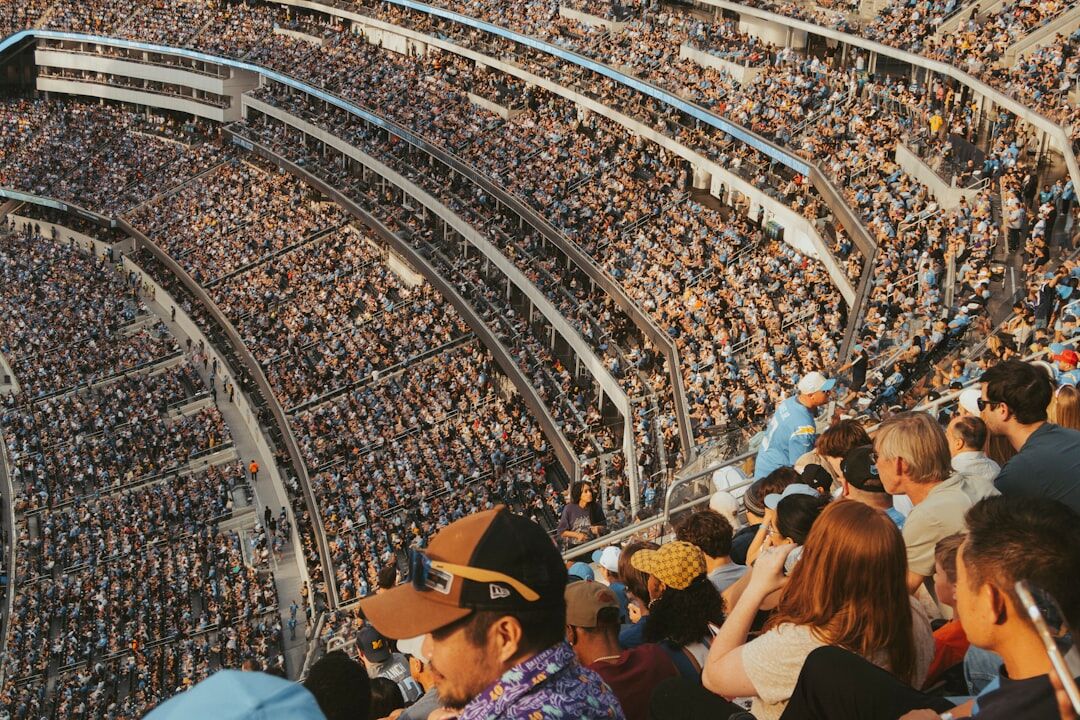 fans at sports event